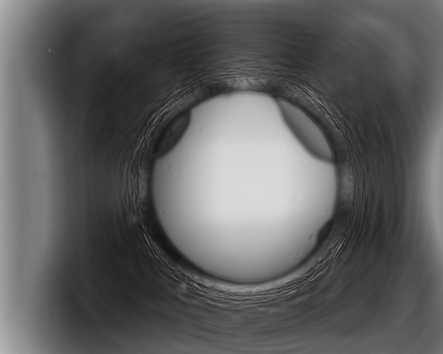 X0000098140043200804171130