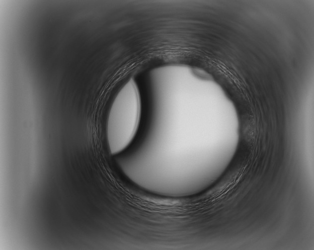 X0000098140044200804171130