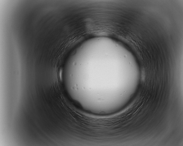 X0000098140047200804171130