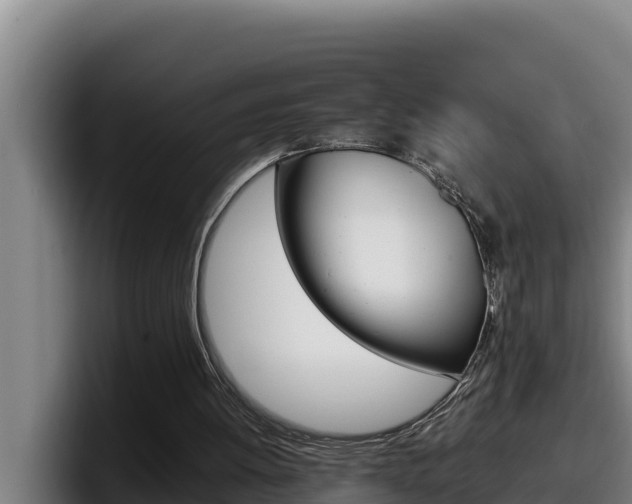 X0000098140052200804171129
