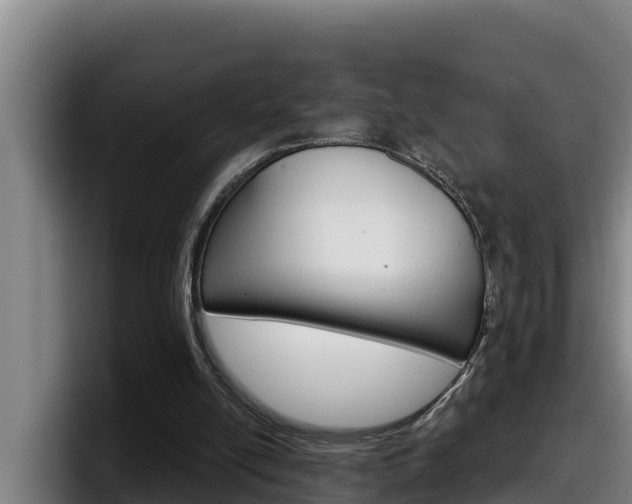 X0000098140054200804171129