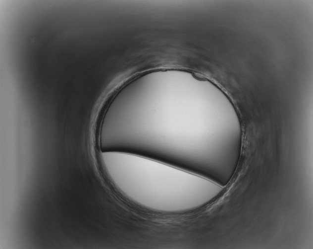 X0000098140055200804171129