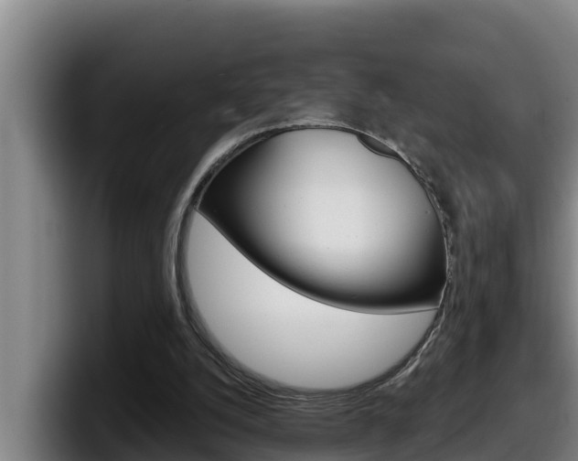 X0000098140056200804171129