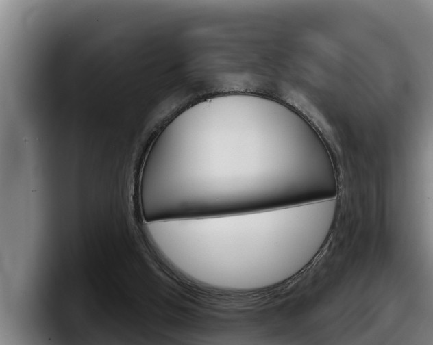 X0000098140058200804171129
