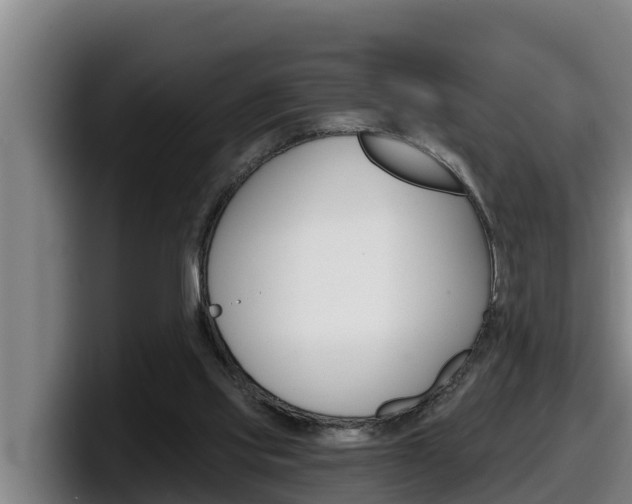 X0000098140061200804171129