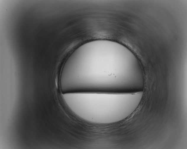 X0000098140062200804171129