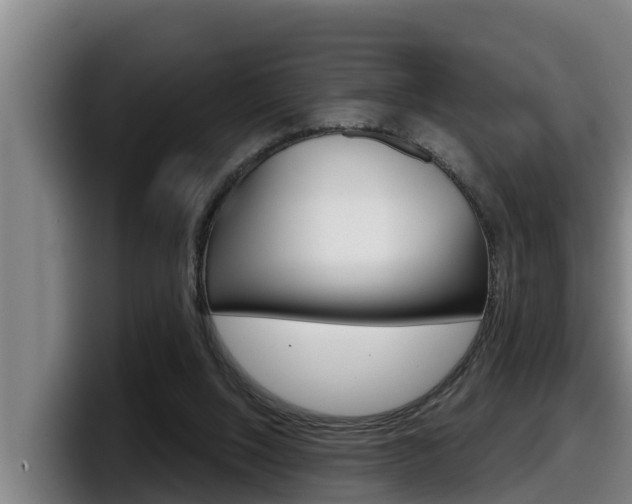 X0000098140064200804171129