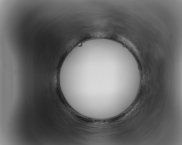 X0000098140065200804171129