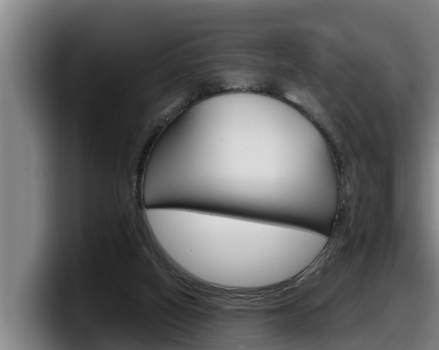X0000098140066200804171129