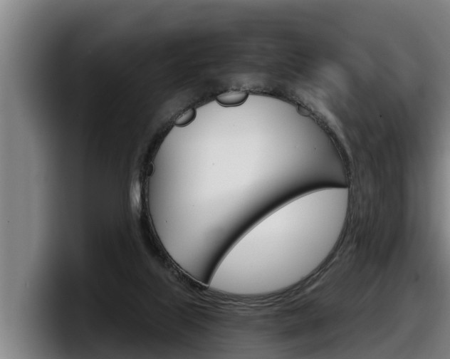 X0000098140067200804171129