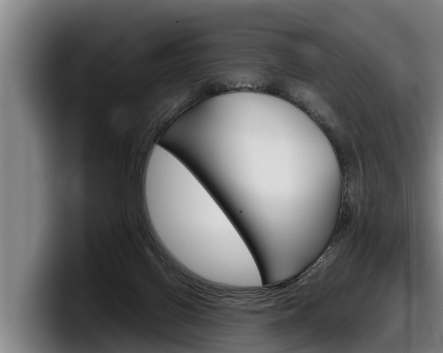 X0000098140070200804171129