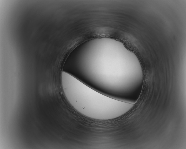 X0000098140076200804171129