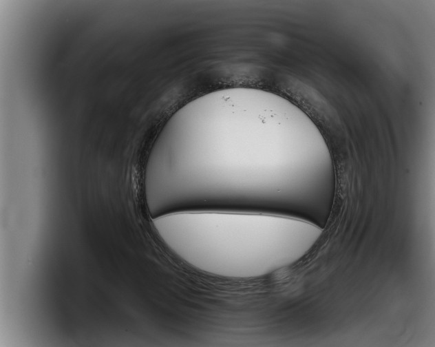 X0000098140077200804171129