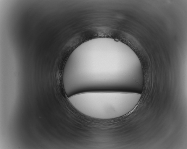 X0000098140078200804171129