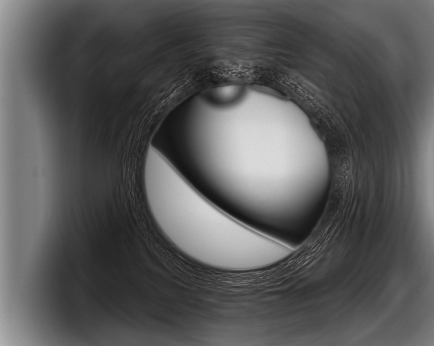 X0000098140088200804171129