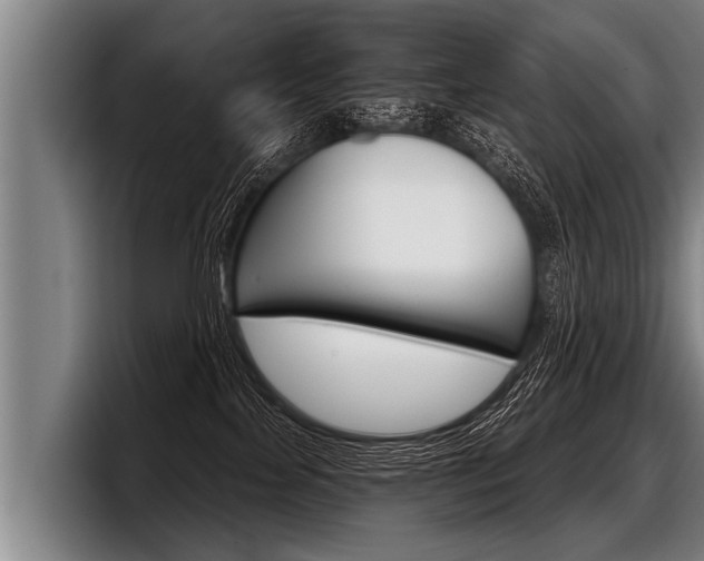 X0000098140089200804171129