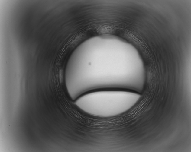 X0000098140093200804171130