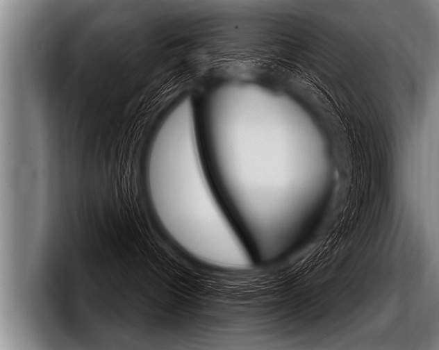 X0000098140096200804171130