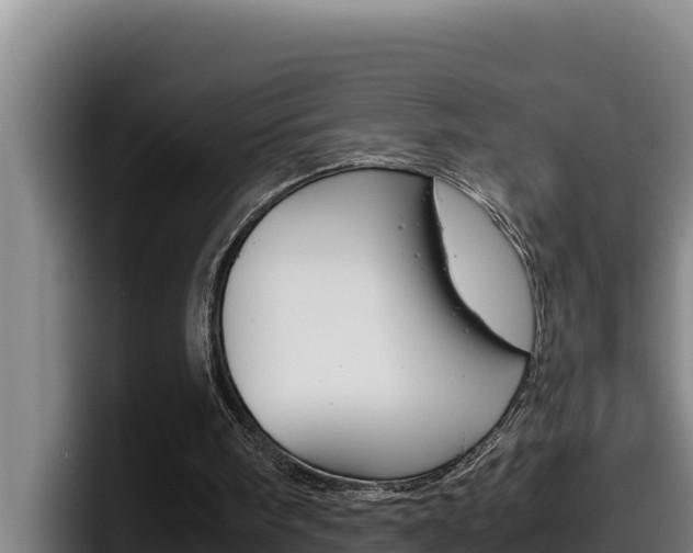 X0000098140098200804171129