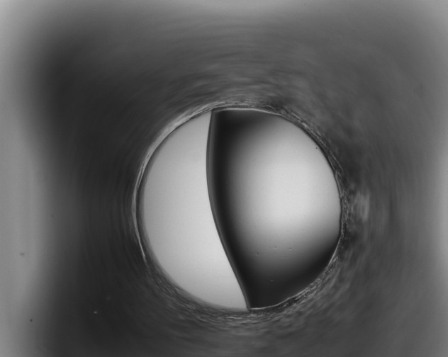 X0000098140100200804171129