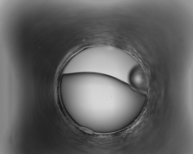 X0000098140101200804171129