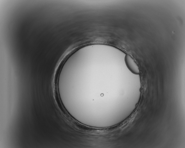 X0000098140102200804171129