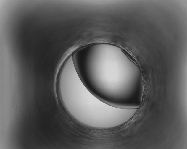 X0000098140104200804171129