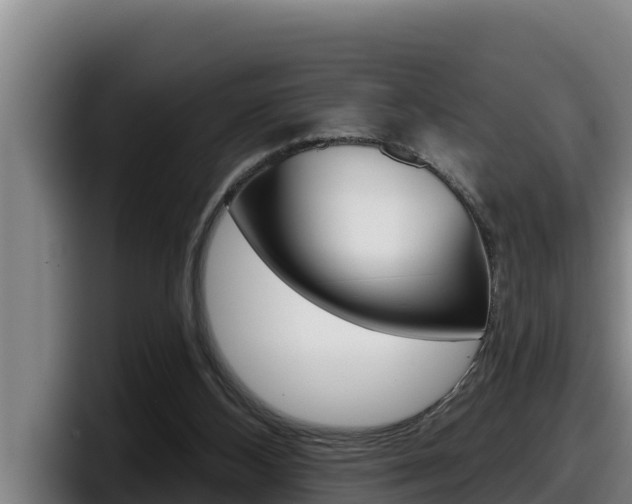 X0000098140108200804171129