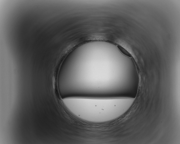 X0000098140109200804171129