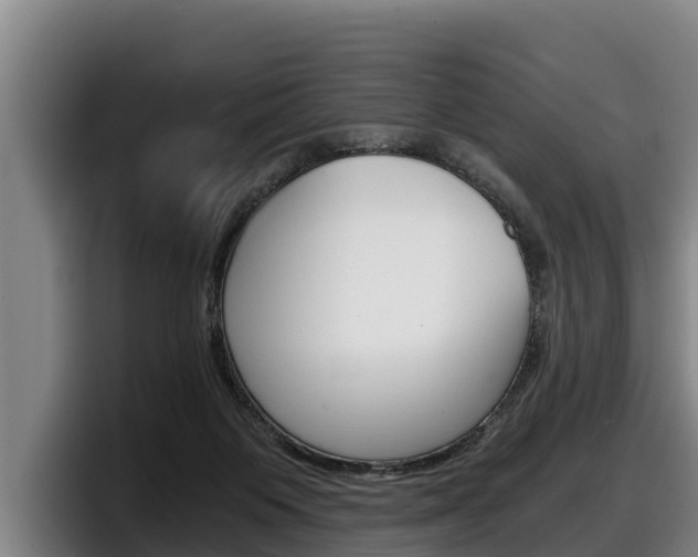 X0000098140119200804171129