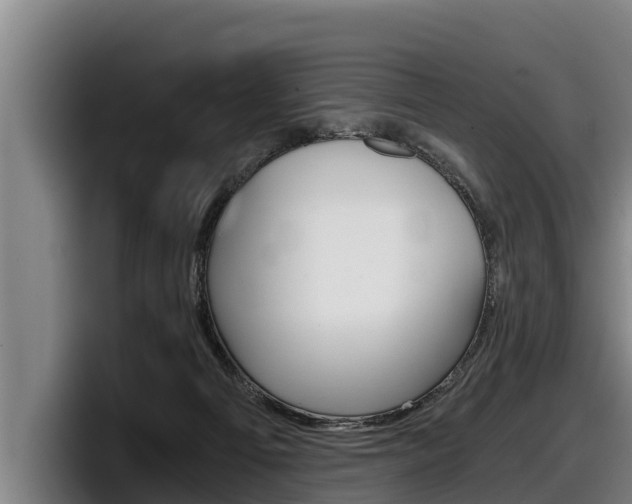 X0000098140121200804171129