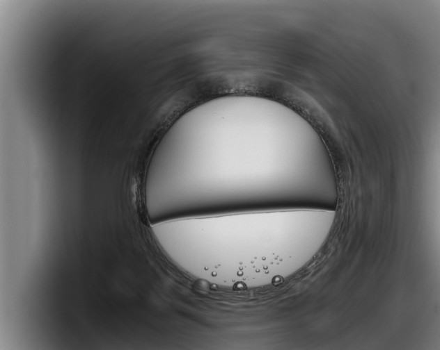 X0000098140123200804171129