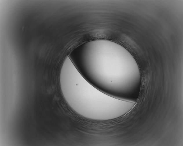 X0000098140124200804171129