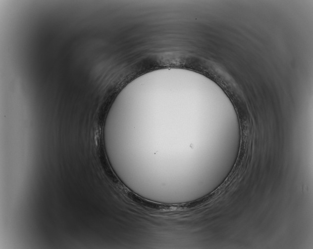 X0000098140125200804171129