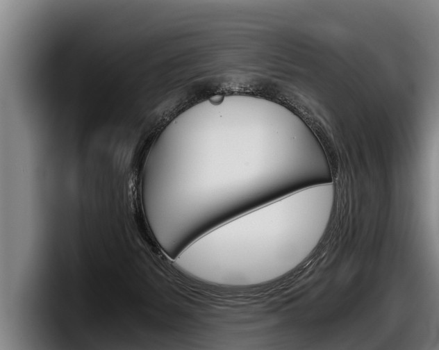 X0000098140127200804171129