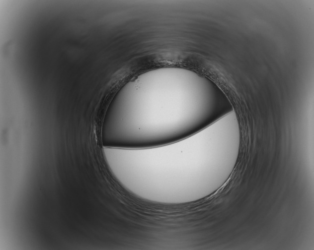 X0000098140128200804171129
