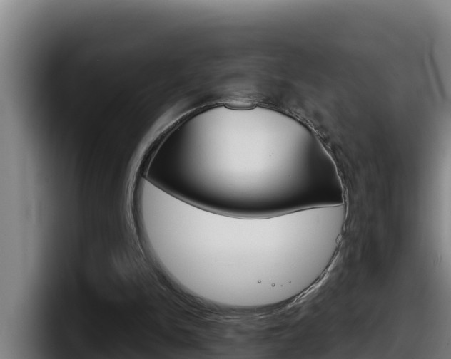 X0000098140150200804171128