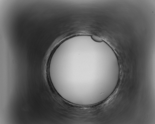 X0000098140151200804171128