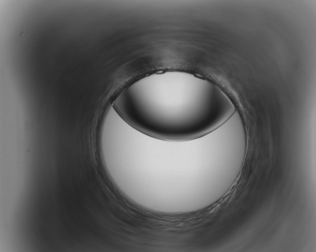 X0000098140154200804171128