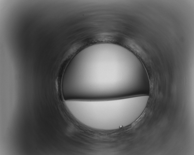 X0000098140158200804171128