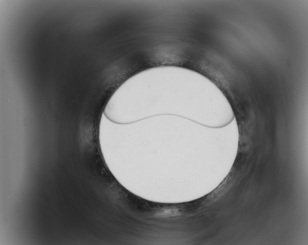 X0000098140162200804171128