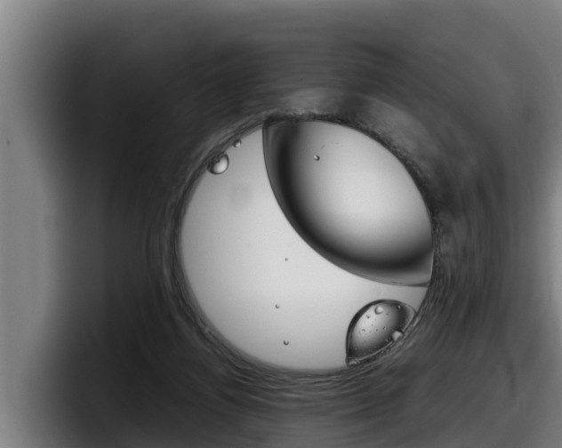 X0000098140164200804171128
