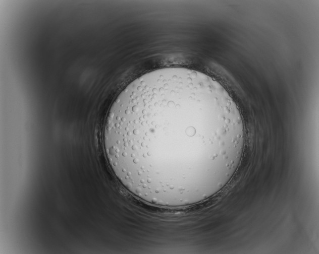 X0000098140169200804171128