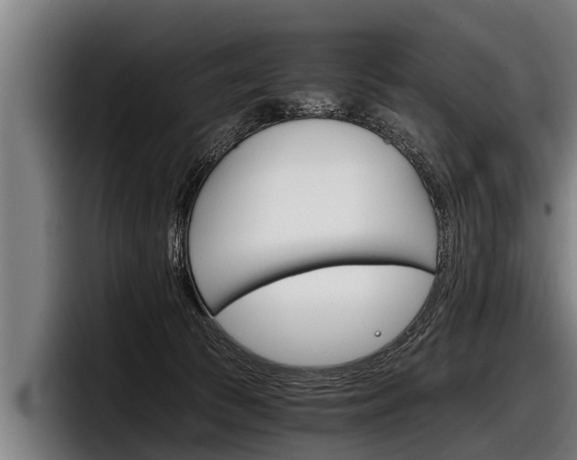 X0000098140177200804171128