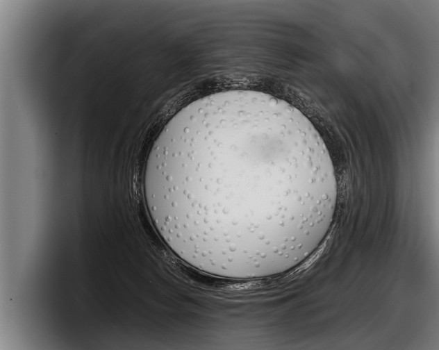 X0000098140178200804171128