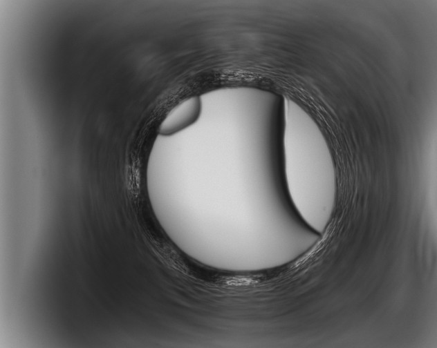 X0000098140183200804171128