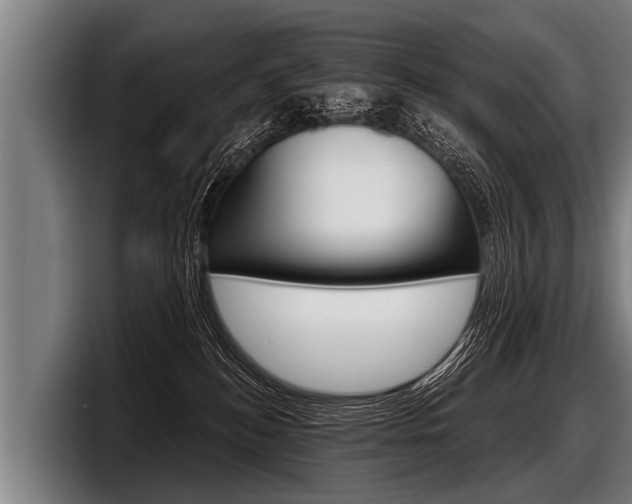 X0000098140184200804171128