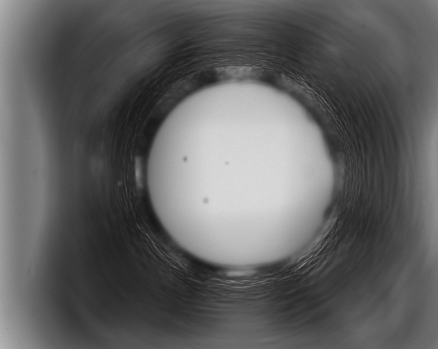 X0000098140191200804171128
