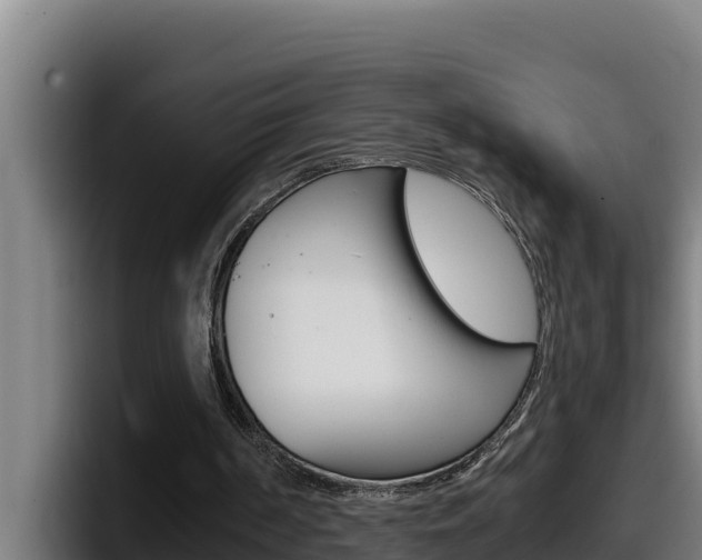 X0000098140194200804171128
