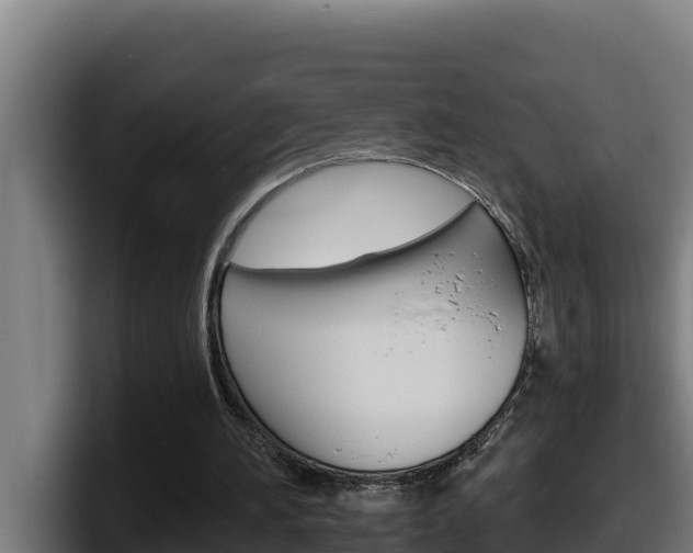 X0000098140196200804171128